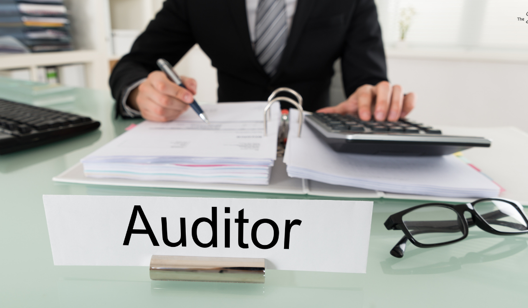 Who is a Company Auditor? Roles, Responsibility and Qualifications