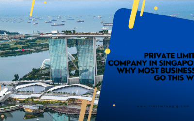 Private Limited Company in Singapore: Why Most Businesses Go This Way